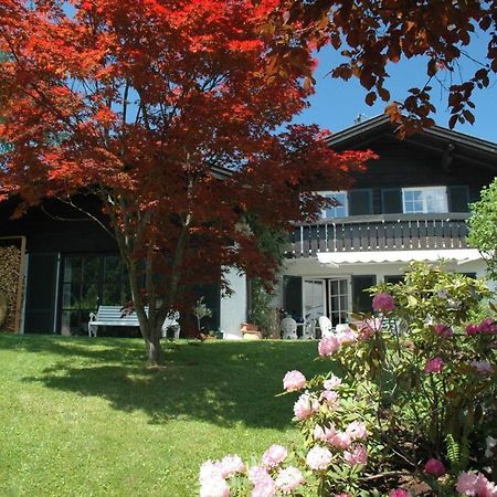 Ferienhaus Nest Blaichach Exterior foto